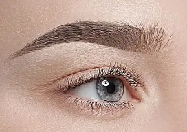 Окрашивание бровей в технике Perfect Lines 
